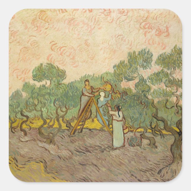 Pegatina Cuadrada Vincent van Gogh - Mujeres recolectando aceitunas (Anverso)