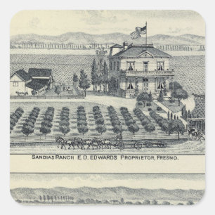 Pegatina Cuadrada Viñedo de la fila del seto, Fresno