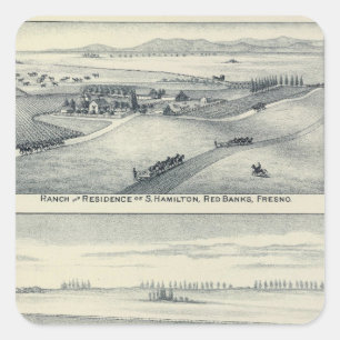 Pegatina Cuadrada Viñedo Estella Blanca, California