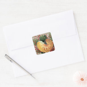 Pegatina Cuadrada Vintage Beach Seashell & Red Coral