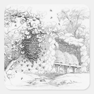 Pegatina Cuadrada Vintage Bee Hives