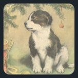 Pegatina Cuadrada Vintage Christmas, Cute Puppy con Árbol De Navidad<br><div class="desc">Ilustracion de época Diseño navideño navideño con un adorable cachorro collie sentado bajo el árbol de Navidad. ¡Este lindo bebé de piel está al lado de algunos instrumentos musicales, una pompa o una trompeta y algunos tambores esperando a la familia en la mañana de los Navidades! ¡Esta corbata hará a...</div>