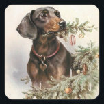 Pegatina Cuadrada Vintage Christmas Dachshund Dog<br><div class="desc">Vintage Christmas Dachshund</div>
