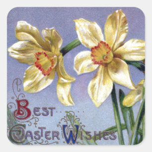 Pegatina Cuadrada Vintage Easter Daffodils