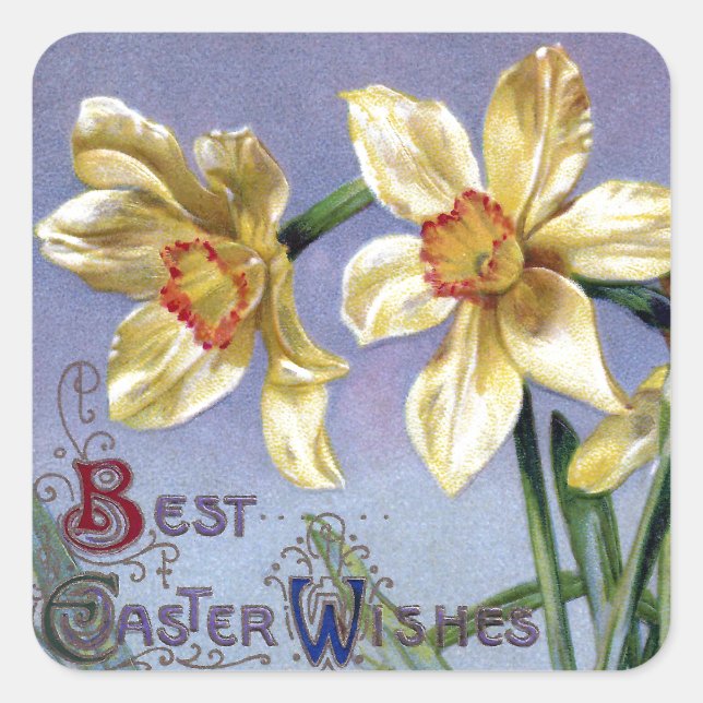 Pegatina Cuadrada Vintage Easter Daffodils (Anverso)