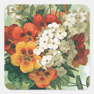 Pegatina Cuadrada Vintage Eastman's Seed Catalog Cover Art, 1897