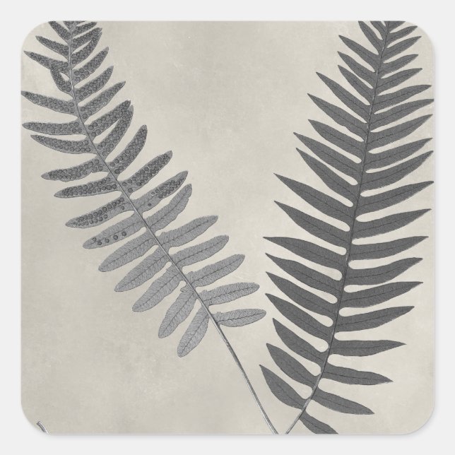 Pegatina Cuadrada Vintage Ferns (Anverso)