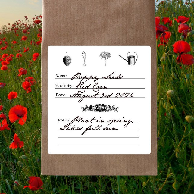 Pegatina Cuadrada Vintage Gardener Ilustrado Salvar Semillas DIY (Subido por el creador)