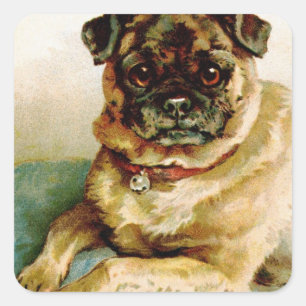 Pegatina Cuadrada Vintage Pug Love