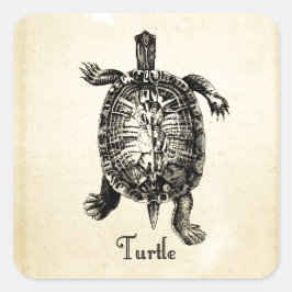 PEGATINA CUADRADA VINTAGE TURTLE