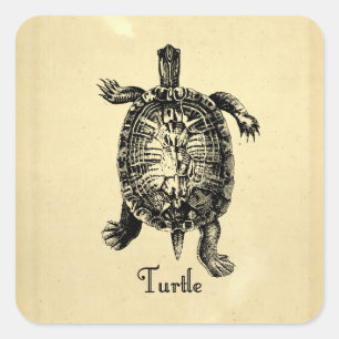 PEGATINA CUADRADA VINTAGE TURTLE