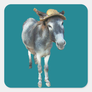 Pegatina Cuadrada Violeta el burro en Gorra de paja con flores