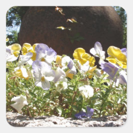 Pegatina Cuadrada Violetas en un abrevadero de piedra.