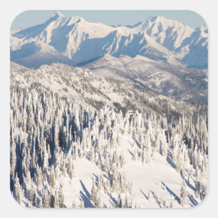 Pegatina Cuadrada Vista panorámica de las montañas y los árboles nev