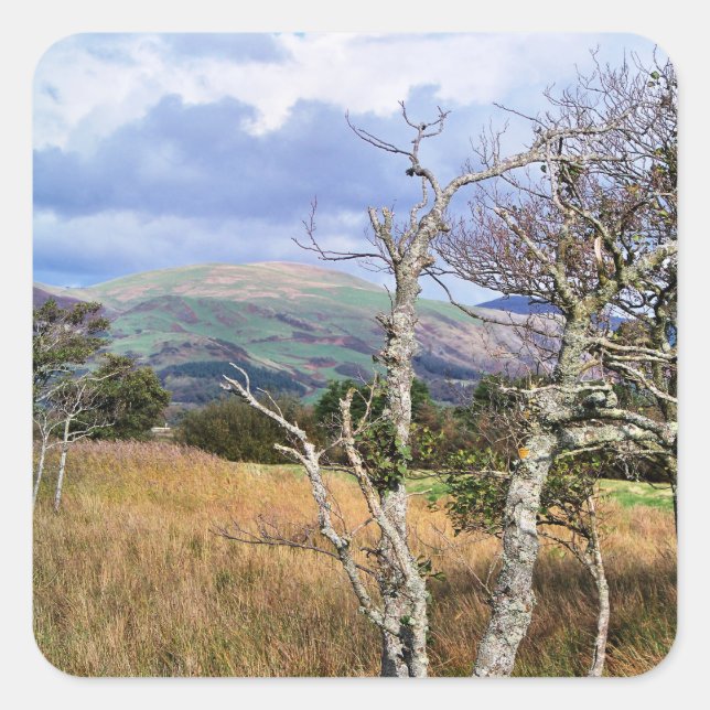 PEGATINA CUADRADA VISTAS DE GALES (Anverso)