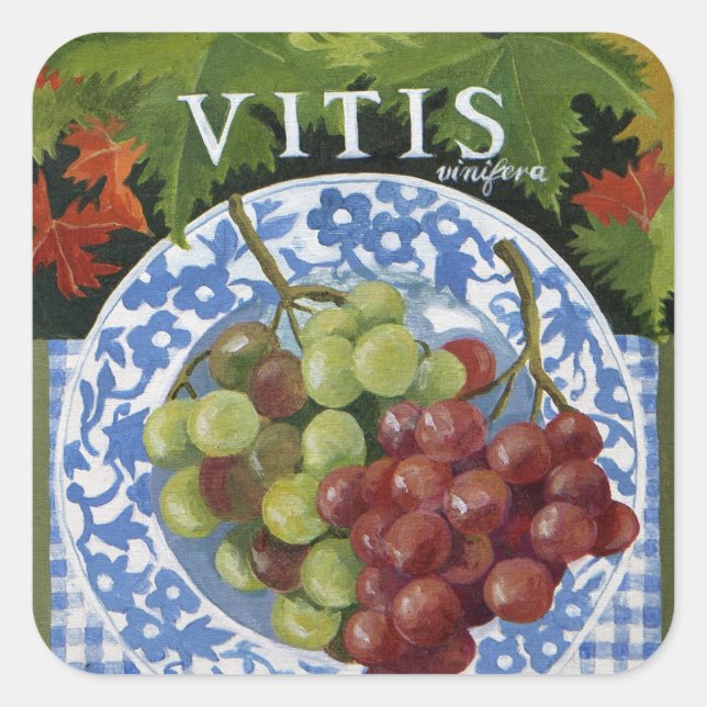 Pegatina Cuadrada Vitus (Anverso)