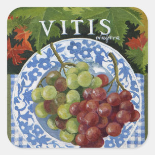 Pegatina Cuadrada Vitus