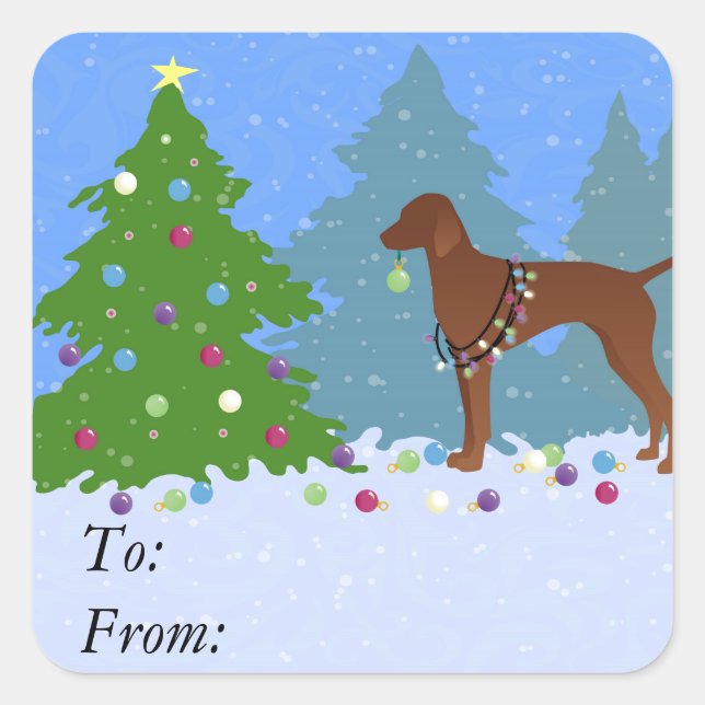 Pegatina Cuadrada Vizsla decorando un árbol de Navidad en el bosque (Anverso)