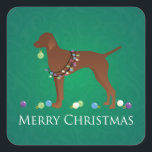 Pegatina Cuadrada Vizsla Dog Merry Christmas Design<br><div class="desc">Silueta de vista lateral de raza de perro de diseño de Navidades de Vizsla. Esta silueta también puede representar: Viszla, Puntero Húngaro, Drotszoru Magyar Vizsla, Hellenic Hound, Hellenikos Ichnilatis, Griego Hound, Plott Hound, Plott Cur, Plotthund, Finlandés Hound, Catahoula Leopard Perg, American Leopard Hound, Dalmatian, Dal, Dally, Firehouse Dog, Plum Pudding...</div>