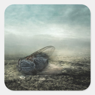 Pegatina Cuadrada Vuelo 2013