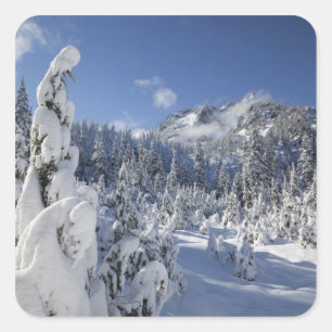 Pegatina Cuadrada WA, Alpine Lakes Wilderness, cuenca del lago Snow