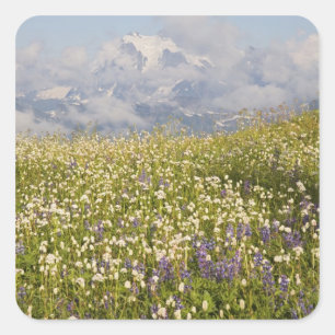 Pegatina Cuadrada WA, Mt. Baker Wilderness, Mt. Shuksan y