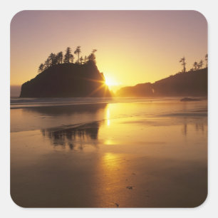 Pegatina Cuadrada WA, Olympic NP, Second Beach al atardecer