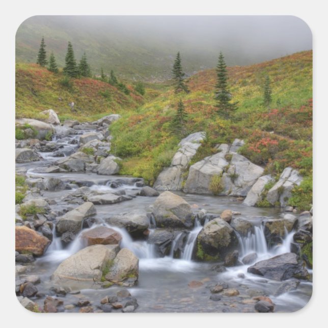 Pegatina Cuadrada WA, Parque Nacional del Monte Rainier, Edith Creek (Anverso)