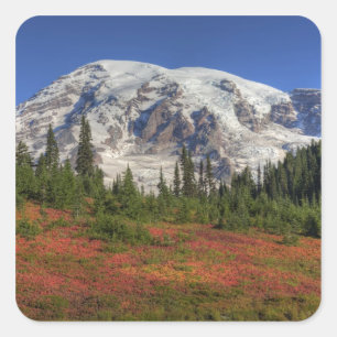 Pegatina Cuadrada WA, Parque Nacional Mt. Rainier, Paradise Valley