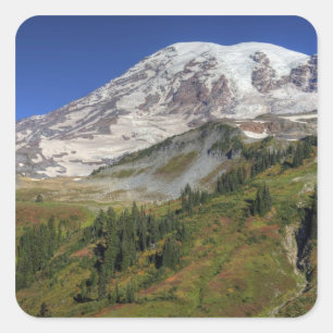 Pegatina Cuadrada WA, Parque Nacional Mt. Rainier, vista desde la