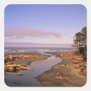 Pegatina Cuadrada WA, Parque Nacional Olympic, playa Kalaloch y Kala