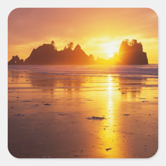 Pegatina Cuadrada WA, policía olímpico, playa Shi Shi al atardecer,  (Anverso)