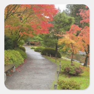 Pegatina Cuadrada WA, Seattle, Arboreto del Parque de Washington, 2