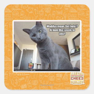 Pegatina Cuadrada ¿Wadya quiere decir 'Obtén ayuda'?