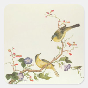 Pegatina Cuadrada Wagtail amarillo con la cabeza azul