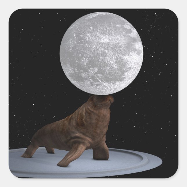 Pegatina Cuadrada Walrus Balanceando La Luna (Anverso)