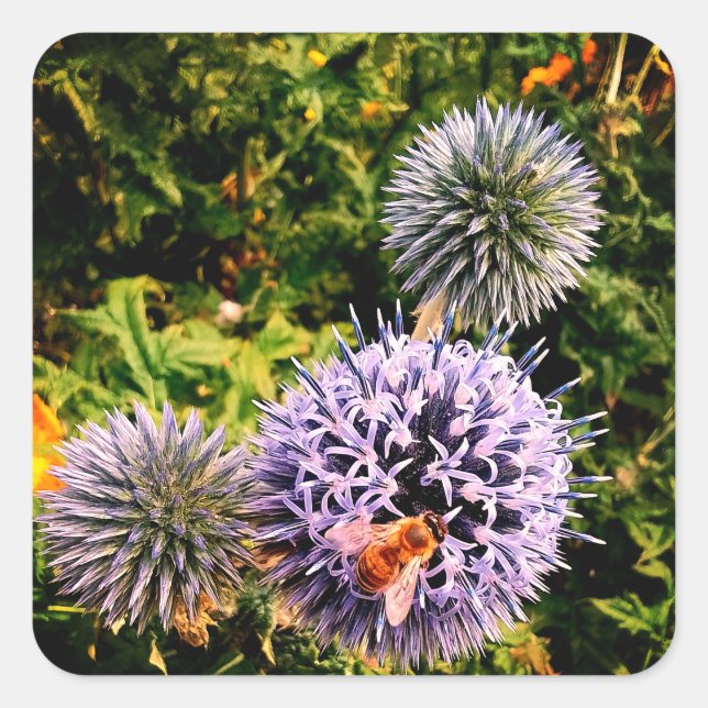 Pegatina Cuadrada Wasp , en flores azules (Anverso)