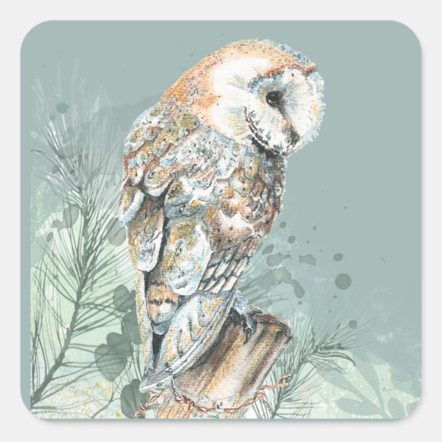 Pegatina Cuadrada Watercolor Barn Owl Bird Wildlife Nature Art (Anverso)