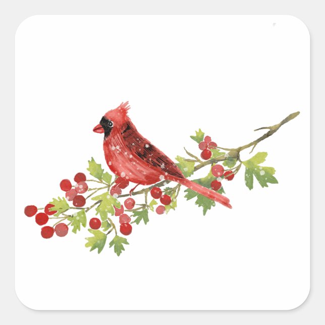 Pegatina Cuadrada Watercolor Cardinal Bird on Berry Branch  (Anverso)