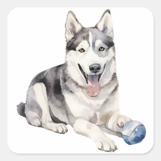 Pegatina Cuadrada Watercolor Husky Dog