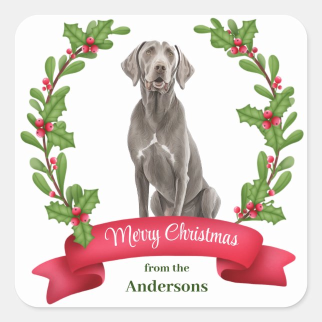 Pegatina Cuadrada Weimaraner Holly Banner Navidades (Anverso)