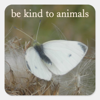 Pegatina Cuadrada White Butterfly "Be Kind to Animals" Sticker Sheet