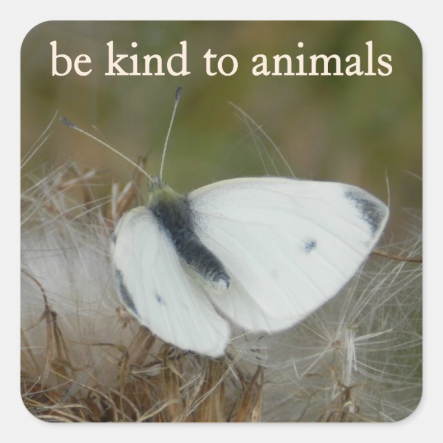 Pegatina Cuadrada White Butterfly "Be Kind to Animals" Sticker Sheet (Anverso)