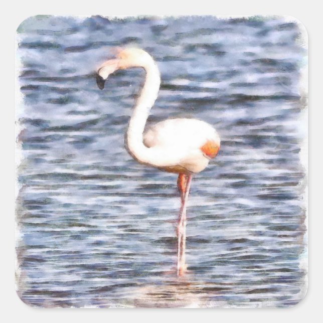 Pegatina Cuadrada Wild Flamingo (Anverso)