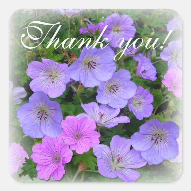 Pegatina Cuadrada WILD GERANIUM ~ Sellador de sobres cuadrado/Pegati (Anverso)