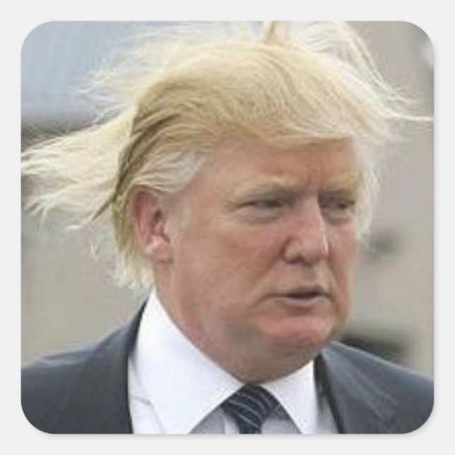 Pegatina Cuadrada Wild Trump Hair (Anverso)