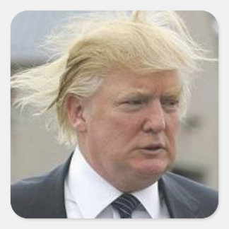 Pegatina Cuadrada Wild Trump Hair