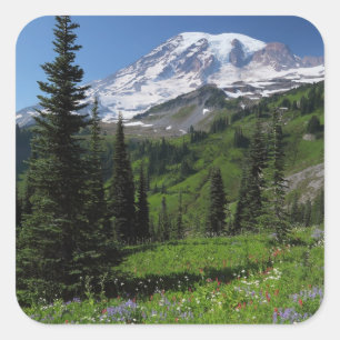 Pegatina Cuadrada Wildflowers en el Monte Rainier