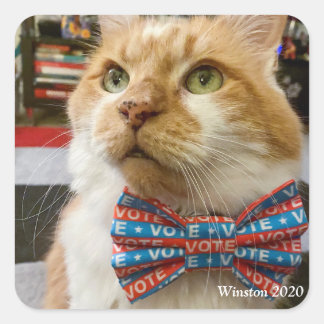 Pegatina Cuadrada Winston 2020