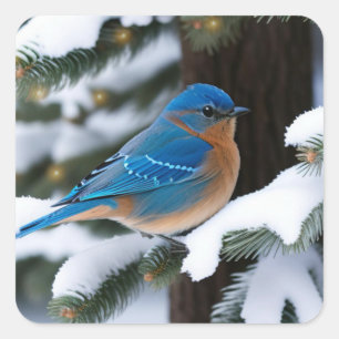 Pegatina Cuadrada Winter Bluebird